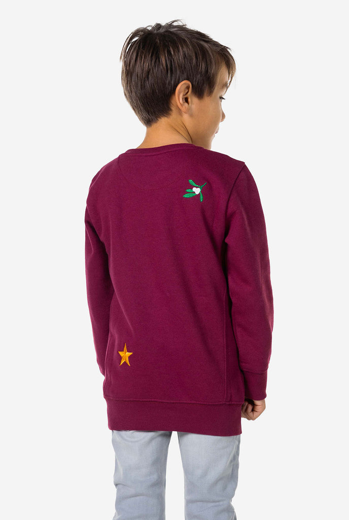 Kid wearing burgundy red Christmas sweater with Christmas icons